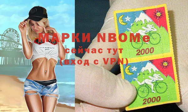 стаф Ладушкин
