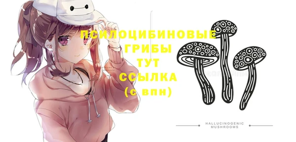 каннабис Лабытнанги