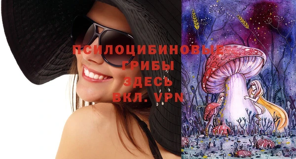 стаф Ладушкин