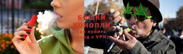 стаф Ладушкин