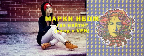 стаф Ладушкин