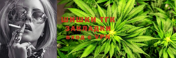 стаф Ладушкин