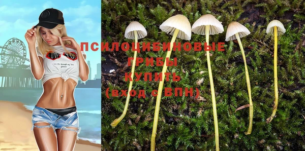 ешки Лагань