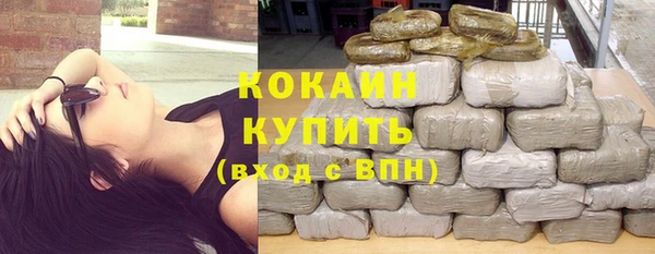 стаф Ладушкин
