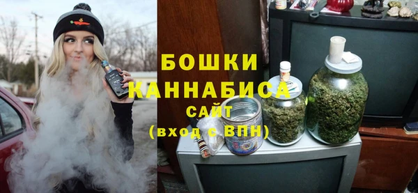 стаф Ладушкин