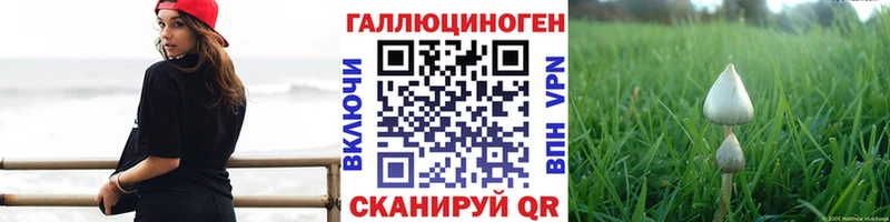 omg ссылки  Далматово  Псилоцибиновые грибы ЛСД 