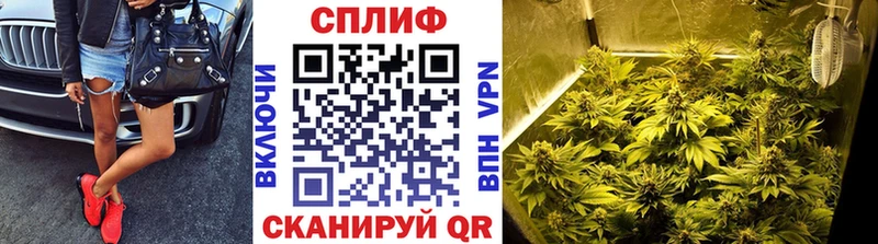 OMG ССЫЛКА  Далматово  сайты даркнета состав  Шишки марихуана VHQ 